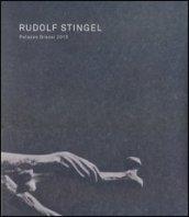 Rudolf Stingel. Palazzo Grassi 2013. Catalogo della mostra (Venezia, 7 aprile-31 dicembre 2013). Ediz. italiana, inglese e francese