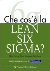 Che cos'è la lean six sigma?