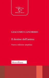 Il destino dell'anima. Elementi per una teologia. Ediz. ampliata