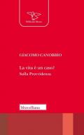 La vita è un caso? Sulla Provvidenza