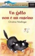 Un gatto non è un cuscino