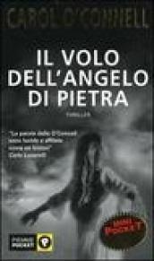 Il volo dell'angelo di pietra