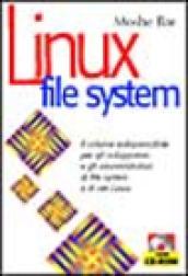 Linux. File system