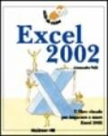 Excel 2002. Visto da vicino