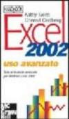 Excel 2002. Uso avanzato