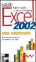 Excel 2002. Uso avanzato