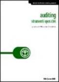 Auditing. Strumenti operativi