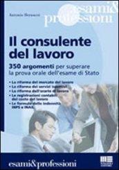 Il consulente del lavoro