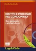 Diritto e processo nel condominio