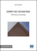 Esprit de geometrie