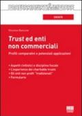 Trust ed enti non commerciali. Profili comparativi e potenziali applicazioni
