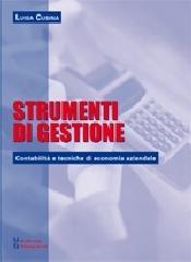 Strumenti di gestione. Contabilità e tecniche di economia aziendale