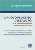 Il nuovo processo del lavoro e le altre disposizioni del collegato lavoro