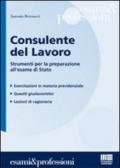 Consulente del lavoro. Strumenti per la preparazione all'esame di Stato