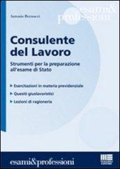 Consulente del lavoro. Strumenti per la preparazione all'esame di Stato