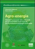 Agro-energia. Valutare il potenziale delle aree rurali per la sostenibilità degli impianti per la produzione di energia rinnovabile