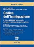 Codice dell'immigrazione