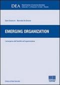 Emerging organization