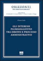 Gli interessi plurisoggettivi tra diritto e processo amministrativo