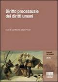 Diritto processuale dei diritti umani