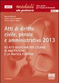 Atti di diritto civile, penale e amministrativo 2013. Ediz. illustrata