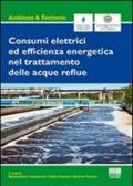 Consumi elettrici ed efficienza energetica del trattamento delle acque reflue