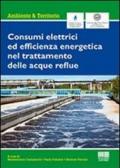 Consumi elettrici ed efficienza energetica del trattamento delle acque reflue