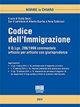 Codice dell'immigrazione