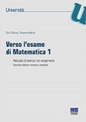 Verso l'esame di matematica 1. Raccolta di esercizi con svolgimento