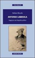 Antonio Labriola. Saggi per una biografia poltica