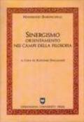 Sinergismo. Orientamento nei campi della filosofia