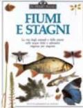 Fiumi e stagni