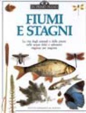 Fiumi e stagni