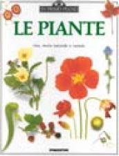 Le piante