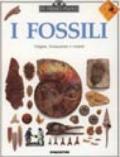 Fossili