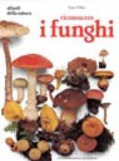 Riconoscere i funghi