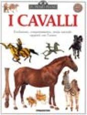 I cavalli