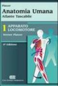 Anatomia umana. Atlante tascabile. Apparato locomotore