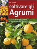 Coltivare gli agrumi. Le varietà ornamentali e da frutto, le tecniche colturali in piena terra e in vaso