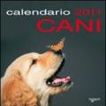 Cani. Calendario 2011