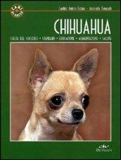 Chihuahua (Cani di razza)