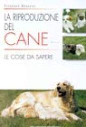 La riproduzione del cane. Le cose da sapere