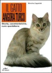 Il gatto angora turco. Storia, caratteristiche, cure quotidiane