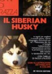 Il siberian husky