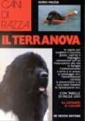 Il terranova