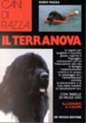 Il terranova