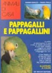 Guida ai pappagalli e pappagallini