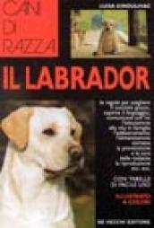 Labrador. Ediz. illustrata