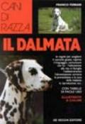 Il dalmata