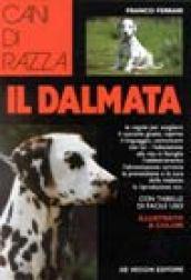 Il dalmata